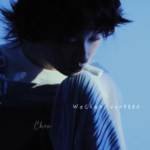 免费看毛片网站
