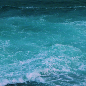 免费看毛片网站
