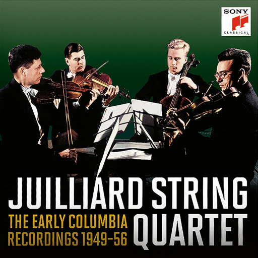 免费看毛片网站
